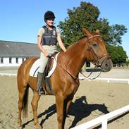 Hannoveraner Shakespeare