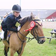 Anden særlig race Canea 