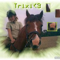 Anden særlig race Trixi