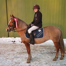Anden særlig race Mosens Penny<'3(solgt):'(