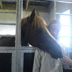 DSP Boccacio:<3 SOLGT :(