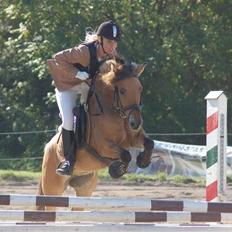 Anden særlig race Langagers Misha -Solgt