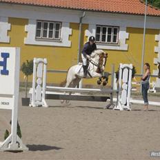 Pinto holger SOLGT ;(