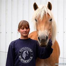 Tyroler Haflinger Gabriella Elghuset