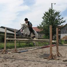 Welsh Pony (sec B) Korreborg's Oline ¤SOLGT¤