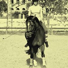 Anden særlig race Ravbjergs Tornado [SOLGT]