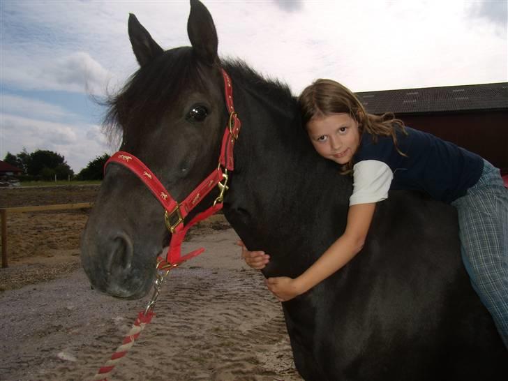 Anden særlig race Mickey - PENSIONERET billede 19