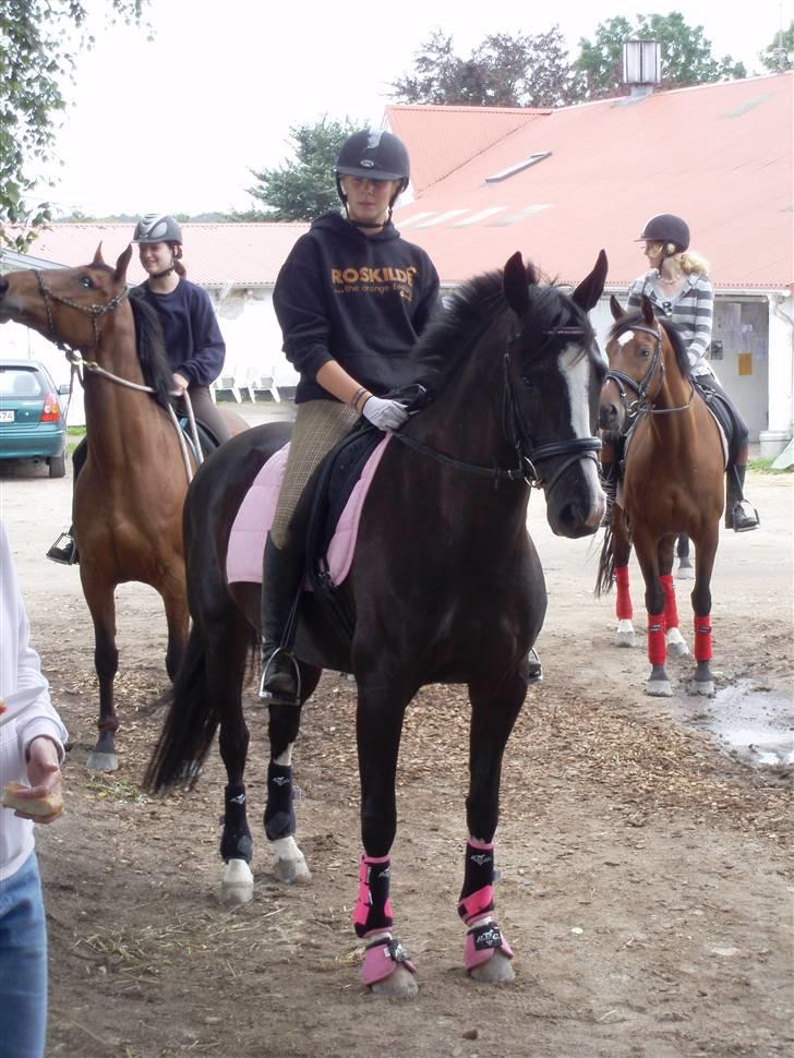 Holstener Priors Maluta - cille red lutten imens michala var på ferie billede 8