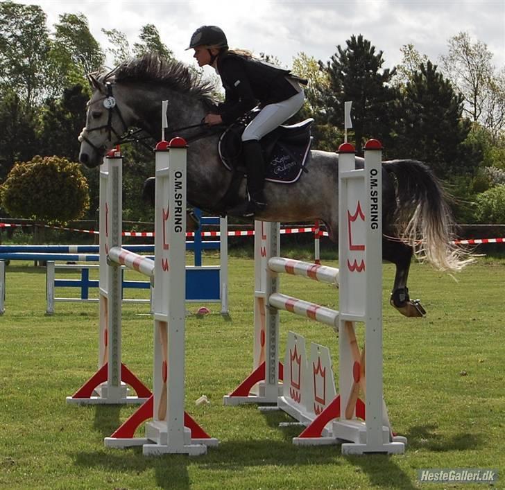 Anden særlig race (¯`v´¯)JAZZ - jazz til stevnstrup landsstævne maj 09.. MA 1. plads:) billede 20