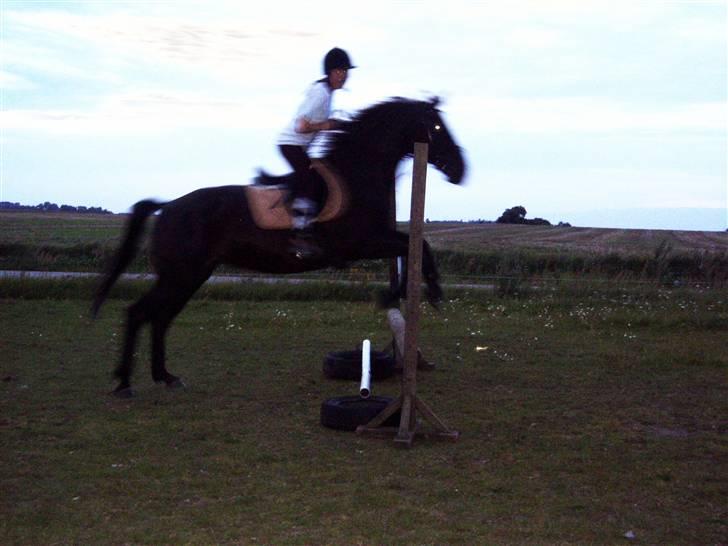 Oldenborg Saloma (DØD) - Maria springer Sorry det er lidt uskarpt!  billede 7