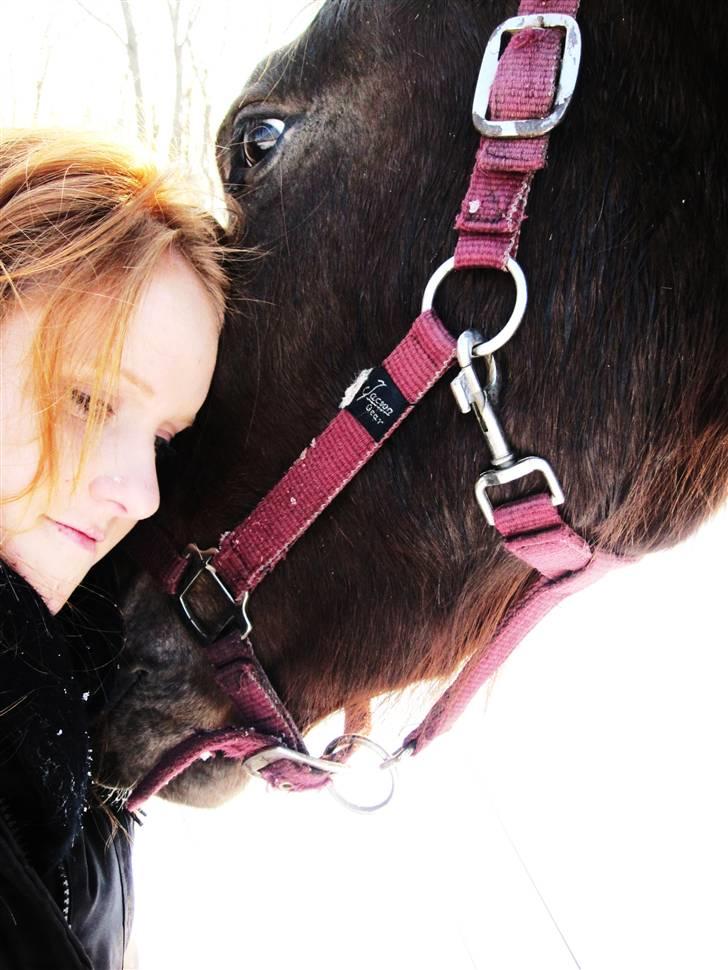 Anden særlig race Bremerholm´s Sunshine - hey. velkommen til Sunshine´s profil (:  billede 1