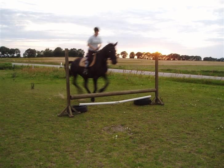 Oldenborg Saloma (DØD) - Maria springer Sorry det er lidt uskarpt! billede 8