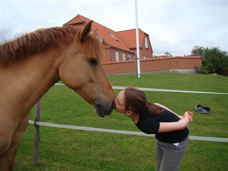 Anden særlig race Jackie *SOLGT* - Mine to skattere nysser :D Mahia og Jackie <3 billede 5