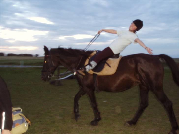 Oldenborg Saloma (DØD) billede 10