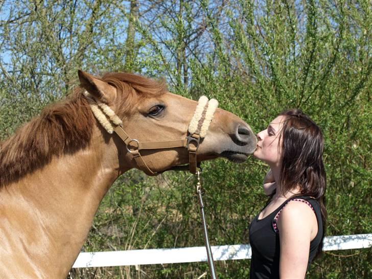 Anden særlig race Jackie *SOLGT* - KYS på komando :-* Nuhr <3 Foto: Emmelie :* billede 7