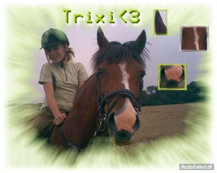Anden særlig race Trixi - er hun ikke kær (´;? billede 1