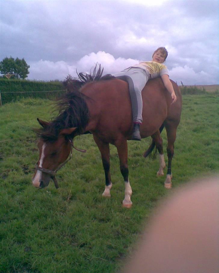 Anden særlig race Trixi - vi tager os lige en slapper billede 7