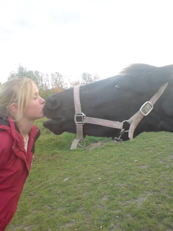 Anden særlig race Felicity solgt ;( - SØS OG FELICITY KYSSER:) billede 8
