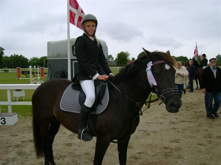 Anden særlig race Felicity solgt ;( billede 9