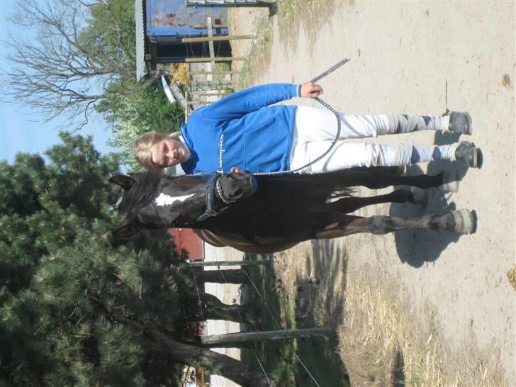 New Forest Lukas - solgt :`( - hihi fræke Lukas billede 5