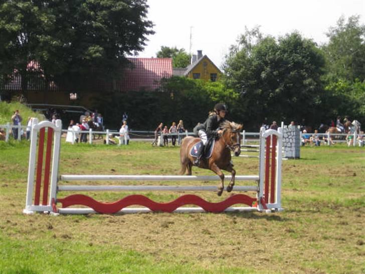 Anden særlig race Mosens Penny<'3(solgt):'( - distriktmesterskab for hold:-) første plads!:-) billede 2