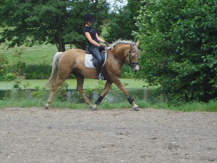 DSP Elvira Wales - Elvira Wales . Sommer 2010. billede 1