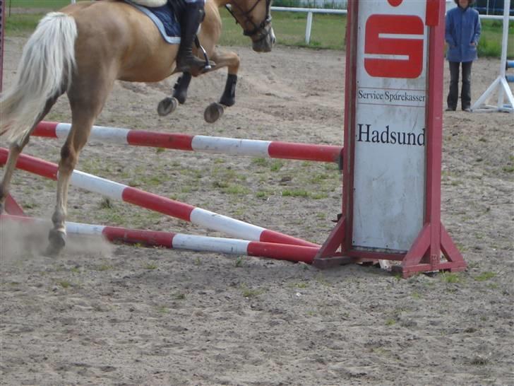 DSP Elvira Wales - 1-stævne billede 4