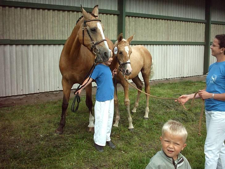 DSP Elvira Wales - Følskue 2004 billede 6
