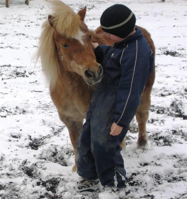 Shetlænder Sanne Bomlund  - Sanne op min bror hygger i påskesneen billede 20