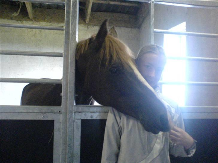 DSP Boccacio:<3 SOLGT :( - guf MMMmmm...  billede 3