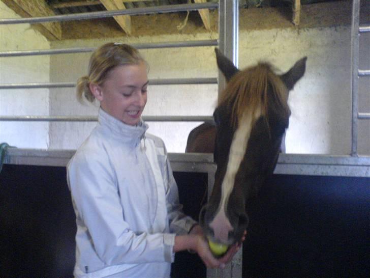 DSP Boccacio:<3 SOLGT :( - mmmm... æble. billede 5