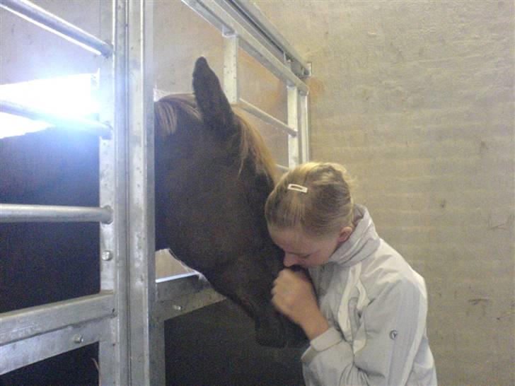 DSP Boccacio:<3 SOLGT :( - okay så farvel så,, dejlig med et knus en gang i mellem <3 boccacio jeg elsker dig billede 6