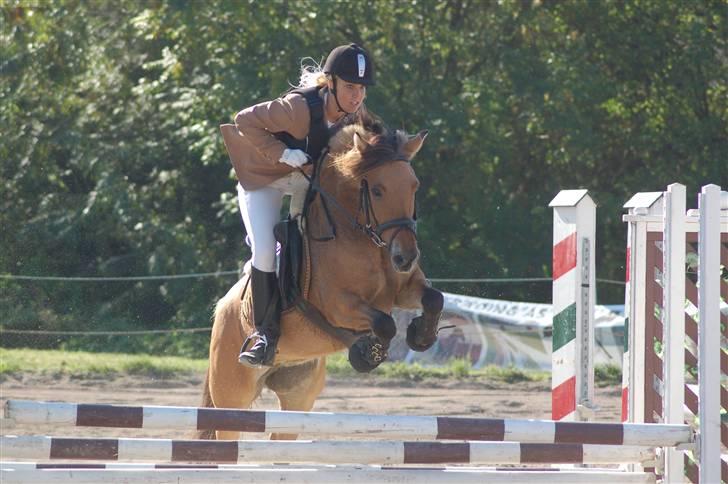 Anden særlig race Langagers Misha -Solgt - Montahko cup 2006. 6. plads. 4 ærgerlige fejl, men 2. bedste tid. billede 1