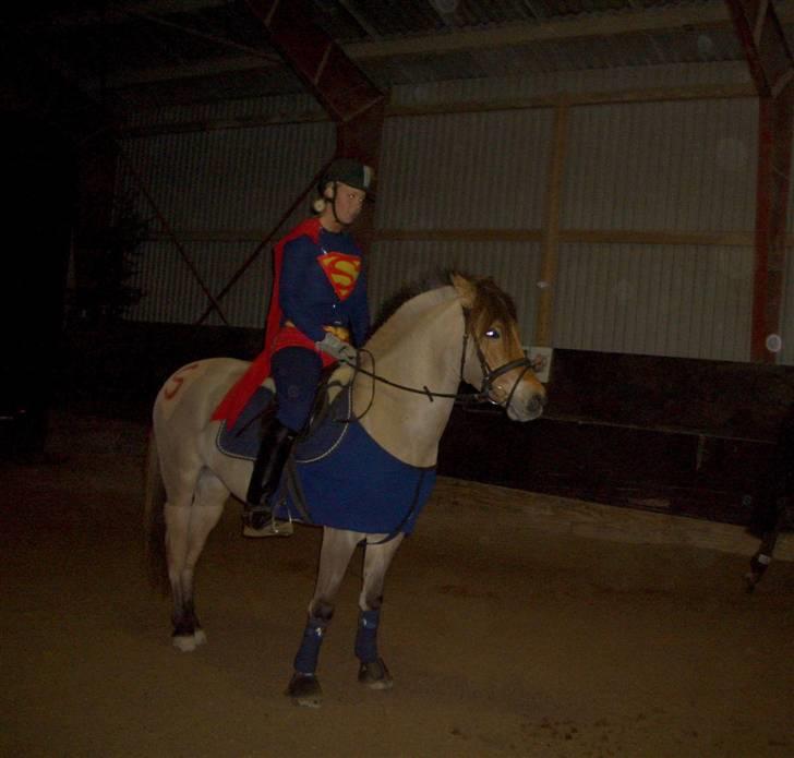 Anden særlig race Langagers Misha -Solgt - Supermand ;) Kostumespring for hold. 3. plads billede 15