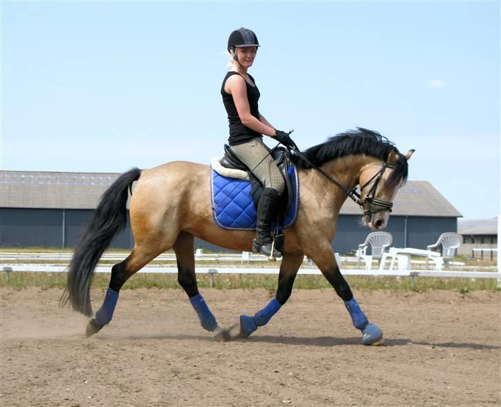 DSP "Golden Mulan"  - Mulan og Nadia træning 1. juli 2009 :) billede 1