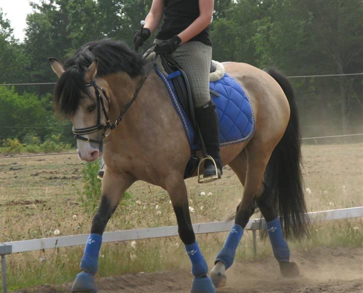 DSP "Golden Mulan"  - Mulan og Nadia træning 1. juli 2009 :) billede 2