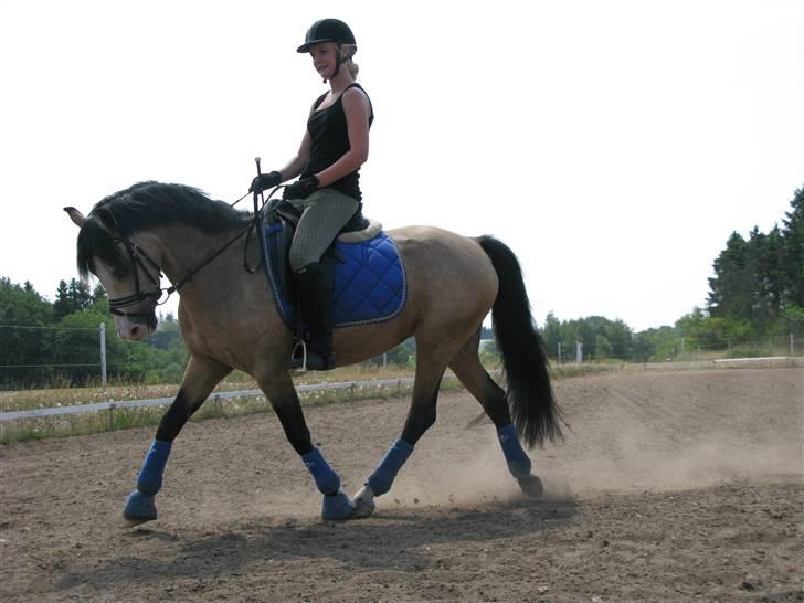 DSP "Golden Mulan"  - Mulan og Nadia træning 1. juli 2009 :) billede 3