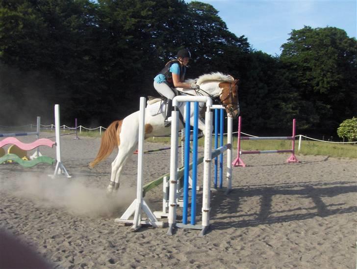 Pinto holger SOLGT ;( - undervisning.. springer 110 cm :D<3 billede 4