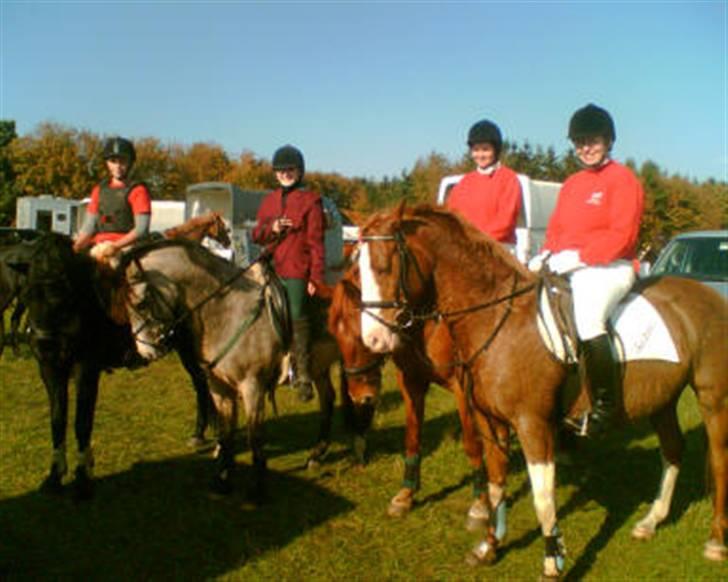 DSP "Golden Mulan"  - mig og Mulan til hubertusjagt, med nogle andre fra øor billede 4