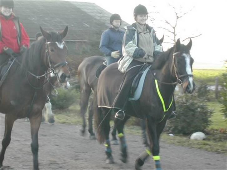 Oldenborg schousboes freja - på fødselsdagstur billede 14