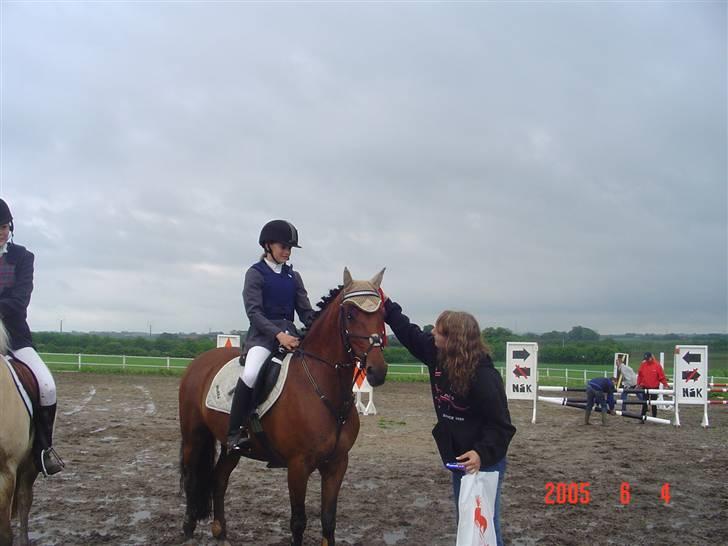 New Forest Opbroeks Mayday (solgt) - LC spring, 1. plads. Nørager. billede 10