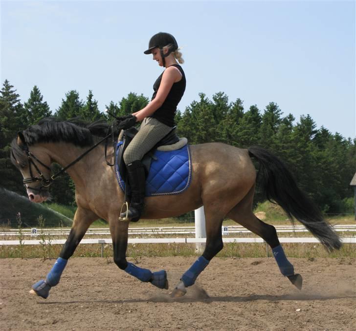 DSP "Golden Mulan"  - Mulan og Nadia træning 1. juli 2009 :) øgning billede 8