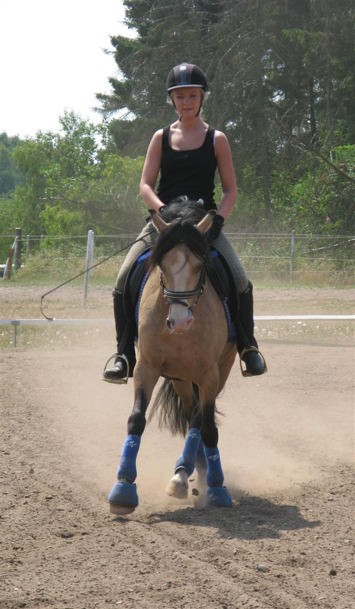 DSP "Golden Mulan"  - Mulan og Nadia træning 1. juli 2009 :) schenkelvigning billede 9