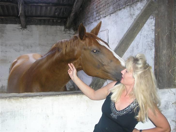 Dansk Varmblod Athene, Solgt - athene og jeg billede 4