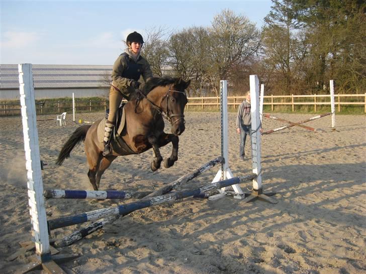 Anden særlig race Trinity C  - springundervisning 16/4 -09 billede 4