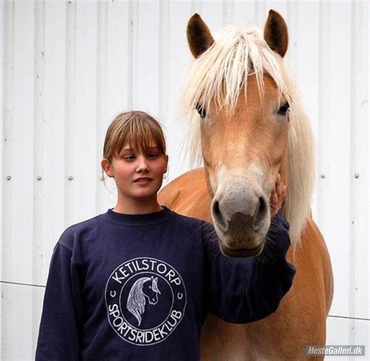 Tyroler Haflinger Gabriella Elghuset billede 2