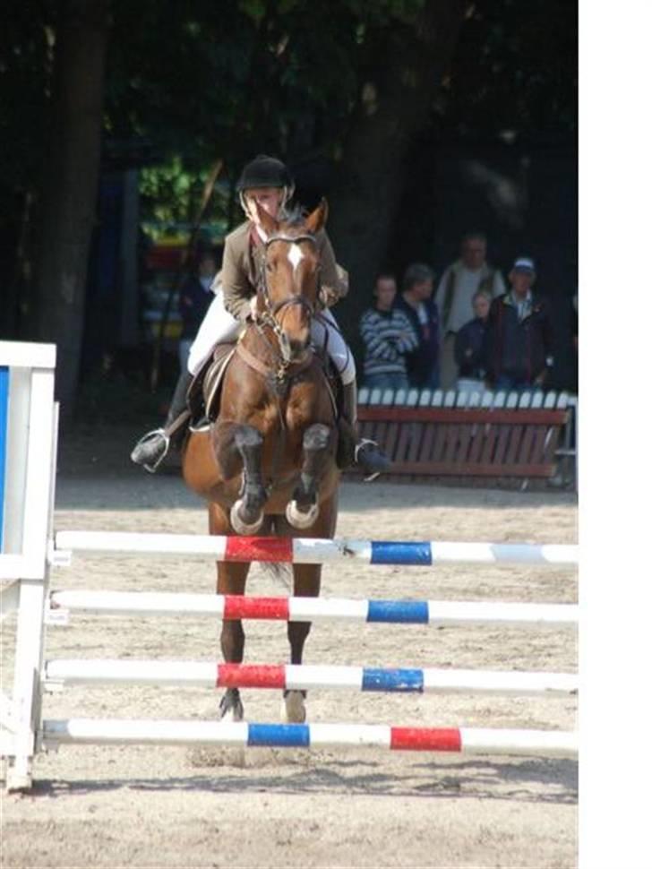 Anden særlig race Hyacinth  - Mig og Hysse i parken. Foto: Fam. Hulehøj billede 17