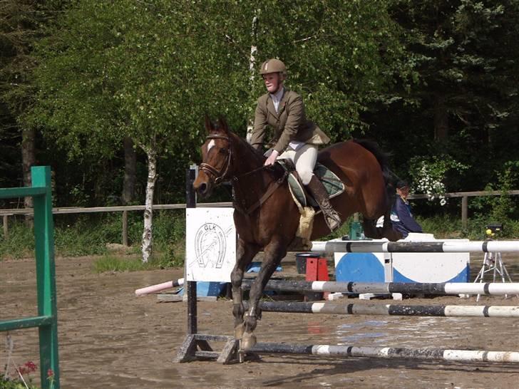Anden særlig race Hyacinth  - Mig og Hysse i LA. Foto: GLK´s Stævne Fotograf billede 18