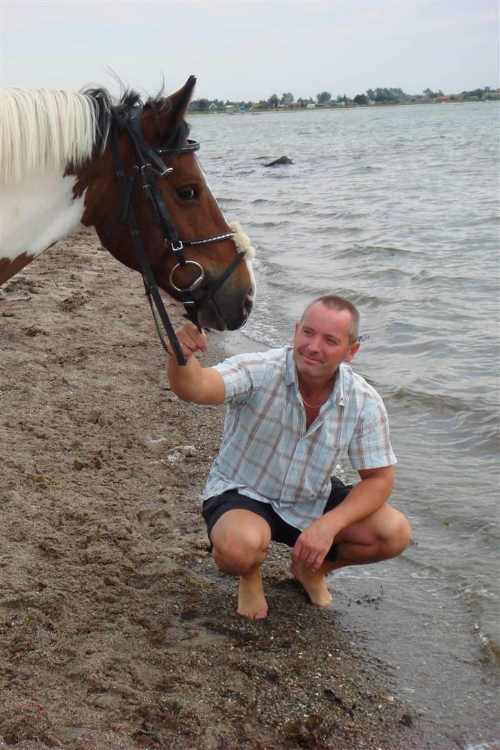 Pinto Amigo  - min far og min pony :D billede 14