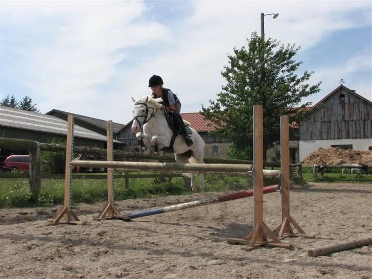 Welsh Pony (sec B) Korreborg's Oline ¤SOLGT¤ - hop! så nemt som ingen ting billede 2